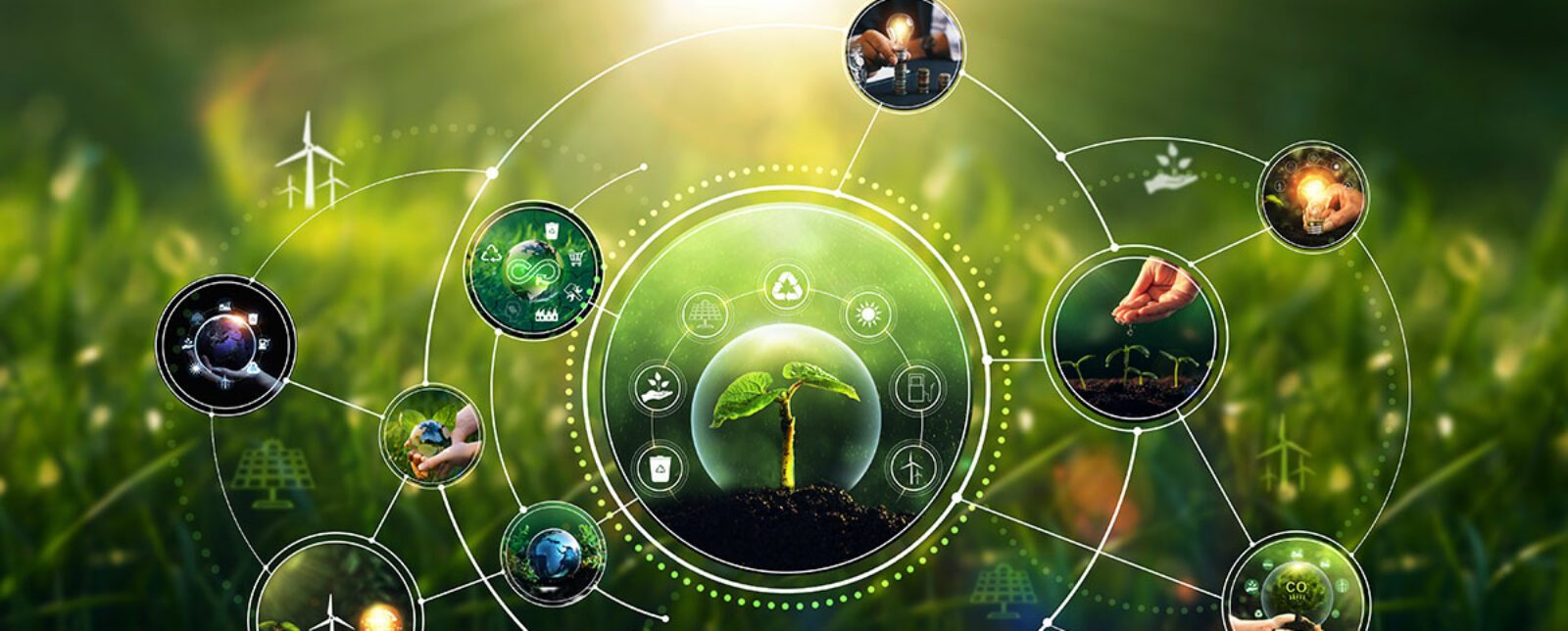 La circularité au sein de la Supply Chain : Rex sur le « Baromètre Supply Chain Durable »
